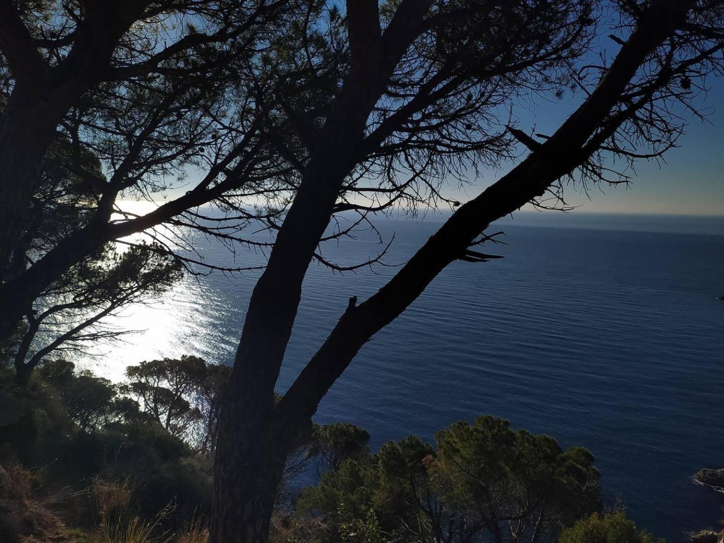 Xalana Con Terraza Y Magnificas Vistas Al Mar Appartement Gerona Buitenkant foto